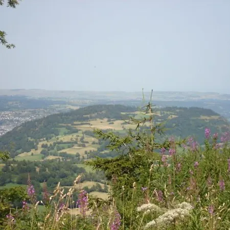 Apartamento T2 Avec Balcon, Pres Des Pistes - Fr-1-787-21